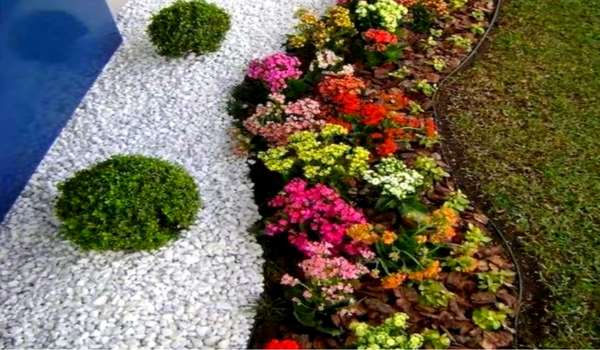 Flower Bed Evergreen Border with a Pop of Color