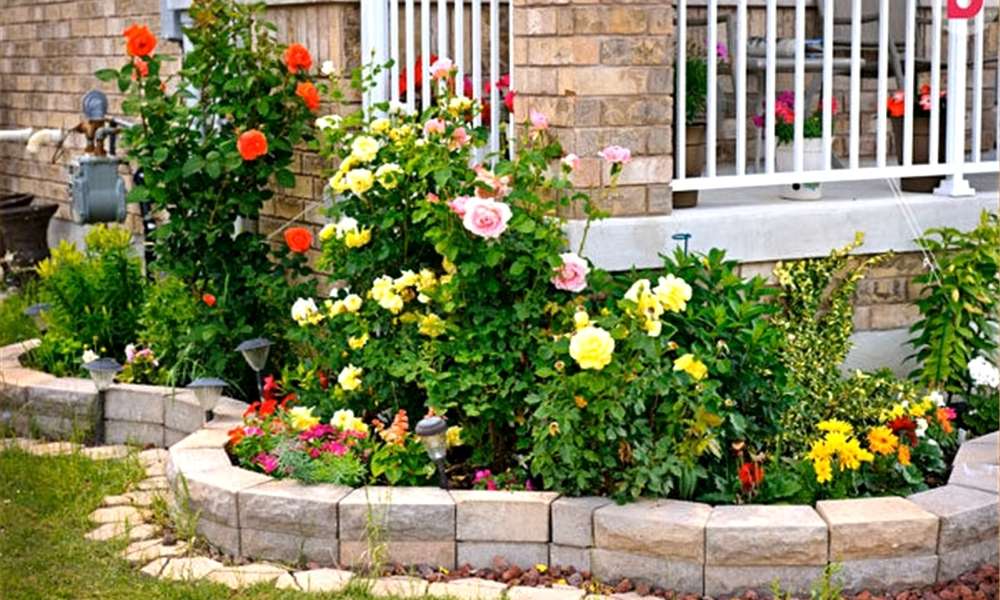 Low-Maintenance Flower Bed Ideas Front Of House