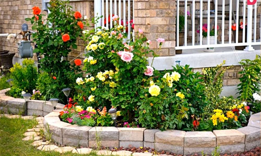 Low Maintenance Flower Bed Ideas Front Of House