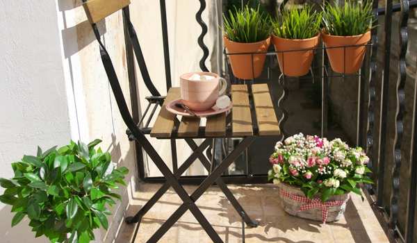 Artificial Plants on a Ladder