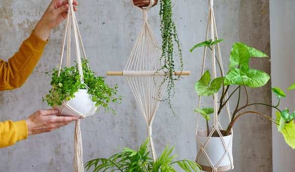Balcony Hang Planters Ideas