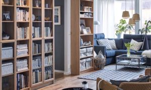 Bookshelf Ideas for Small Living Room