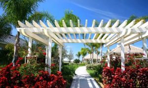 How to Decorate a Pergola With Plants