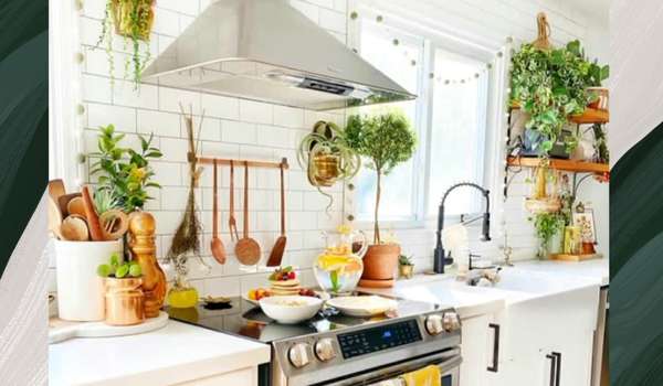 Inside Garden For Small Modern White Kitchen Ideas