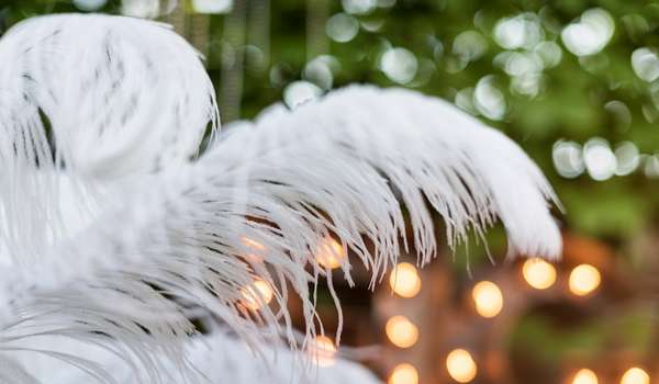 Make Feather Centerpieces For Party