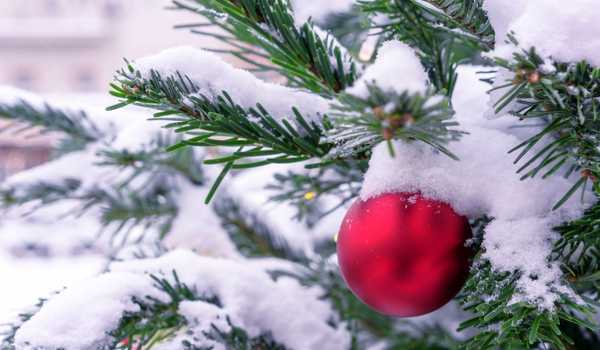 Snowy Christmas Tree White and Silver Decorations