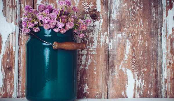 Creative Flower Pot  Milk Can Decor Front Porch