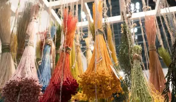 Hang Dried Flowers Upside