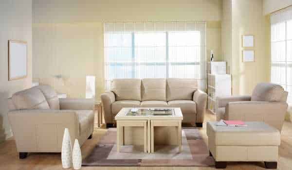 Living Room Loveseats Ideas