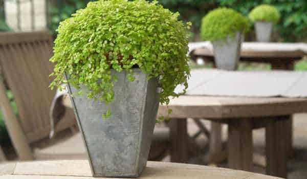 Add Customized Steel Planters for Terrace Design
