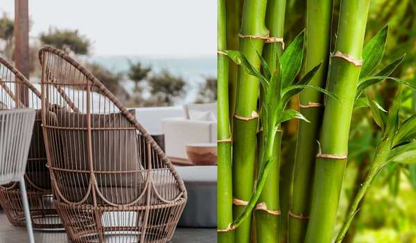 Eco-Friendly Bamboo Rooftop Design