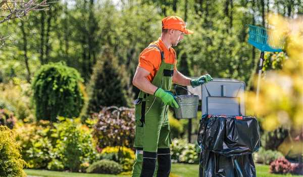 Keep the Garden Clean for Pest Control